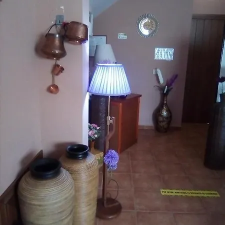 Sol De La Vega