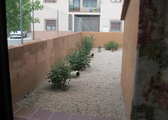 Sol De La Vega Albarracín